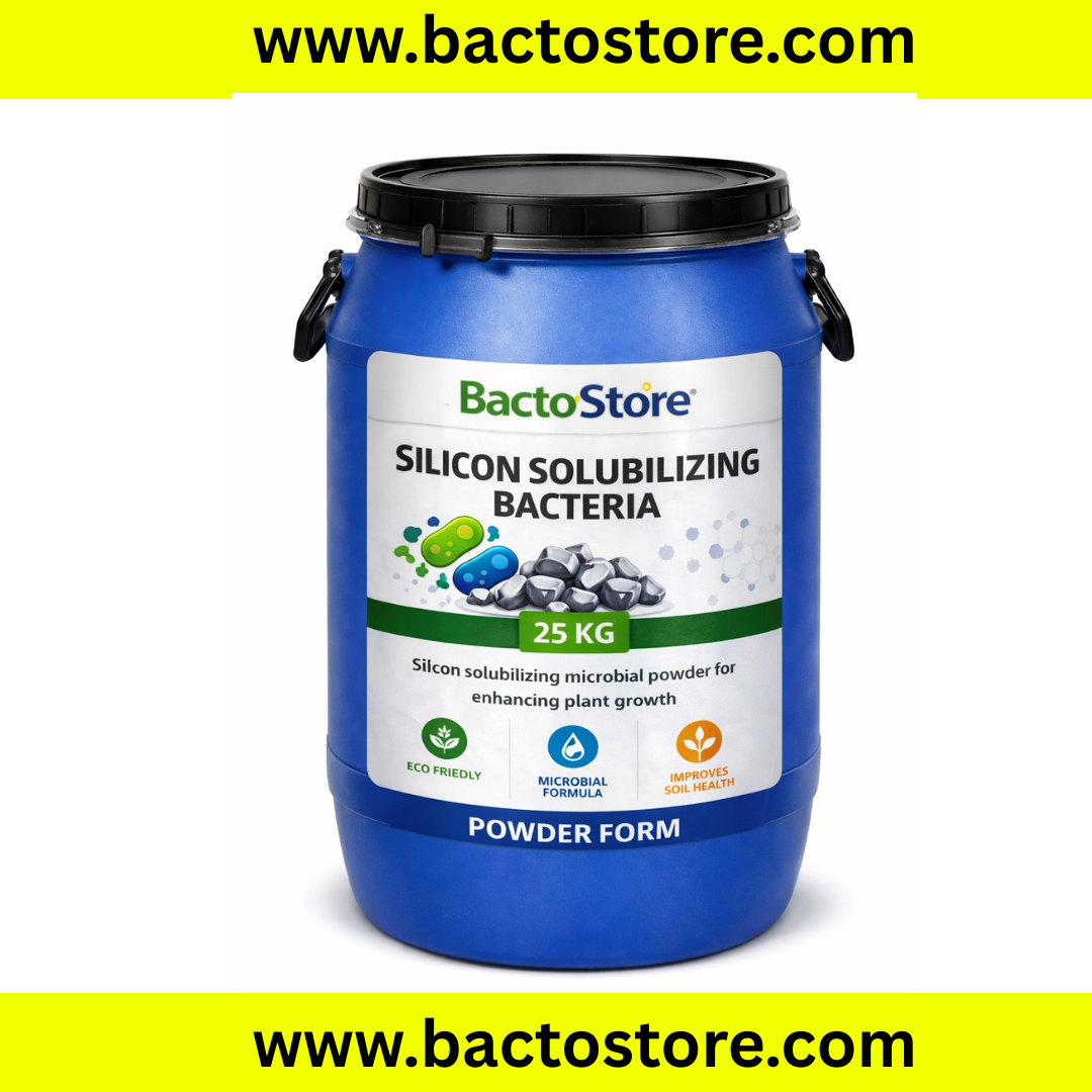Silicon solubilizing bacteria Powder