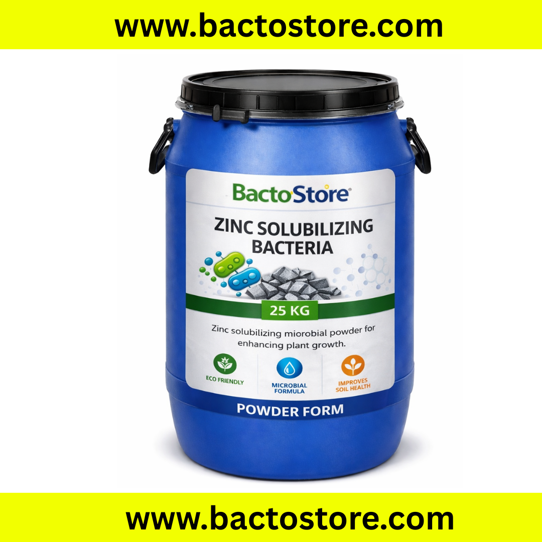 Zinc solubilizing bacteria powder