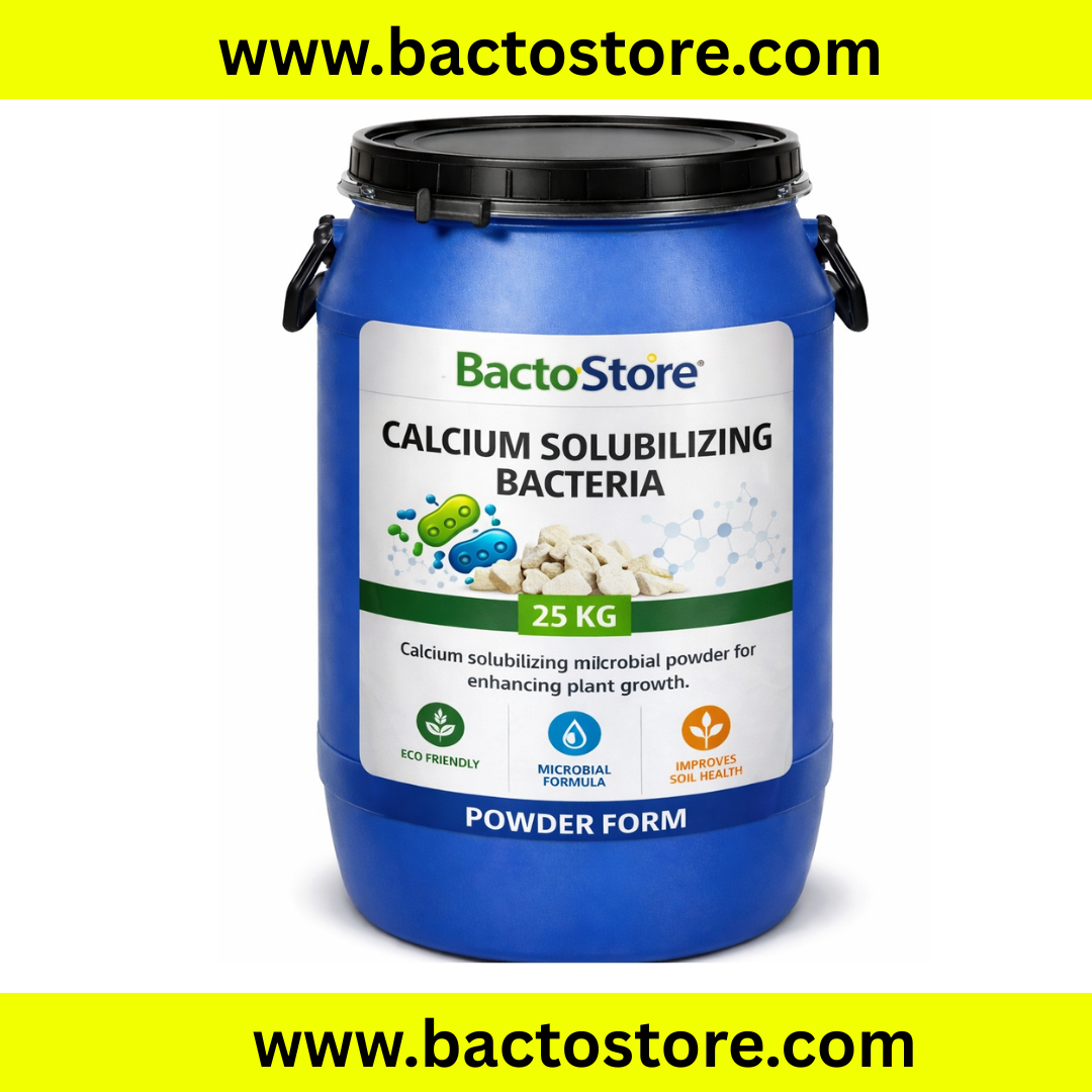 Calcium solubilizing bacteria powder