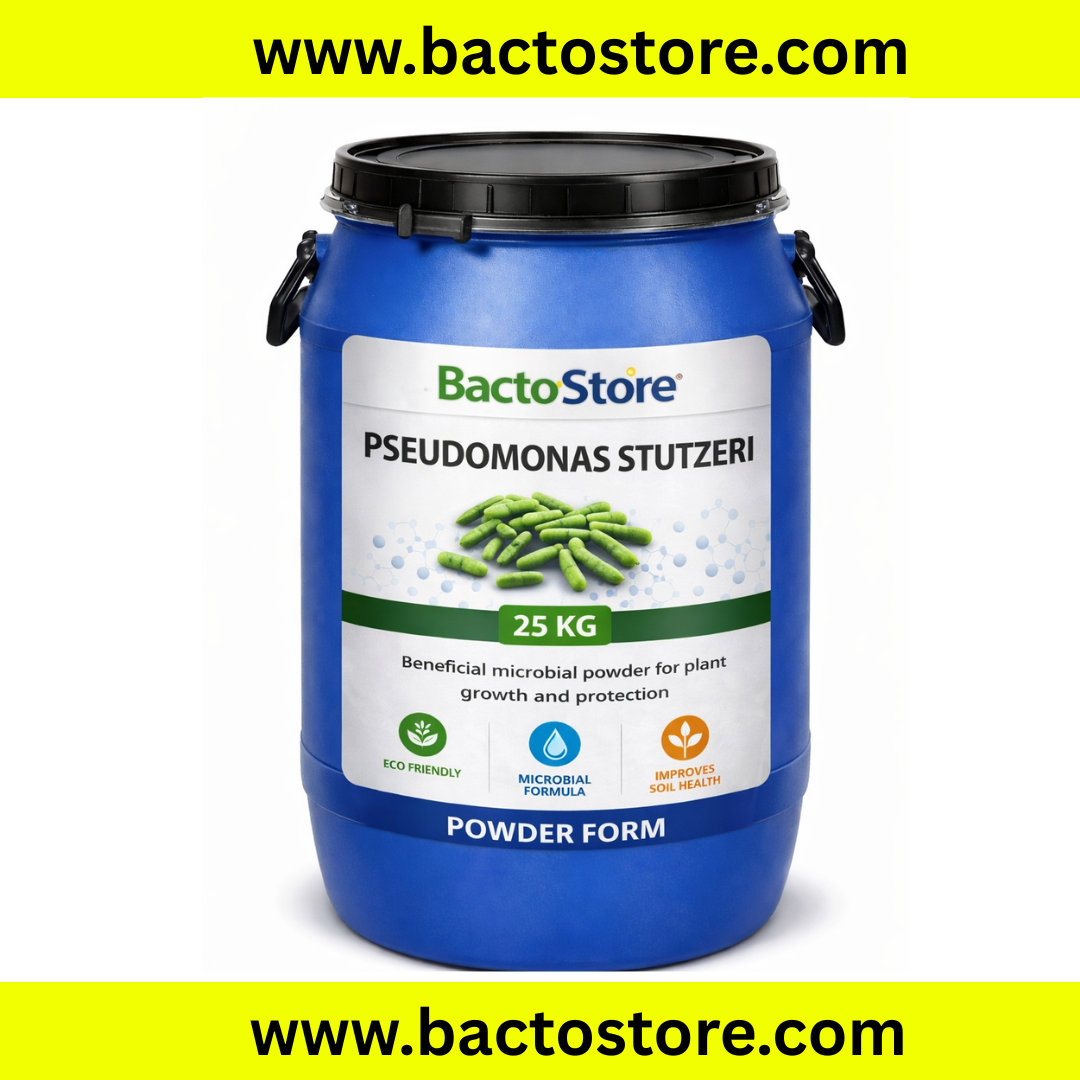Pseudomonas stutzeri powder