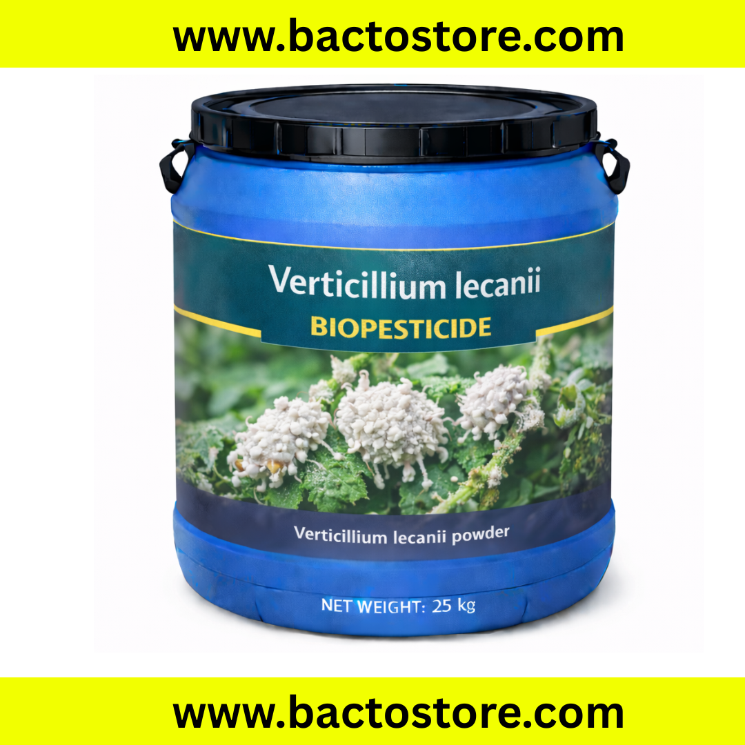 Verticilium Lecanii