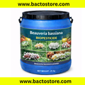 Beauveria Bassiana