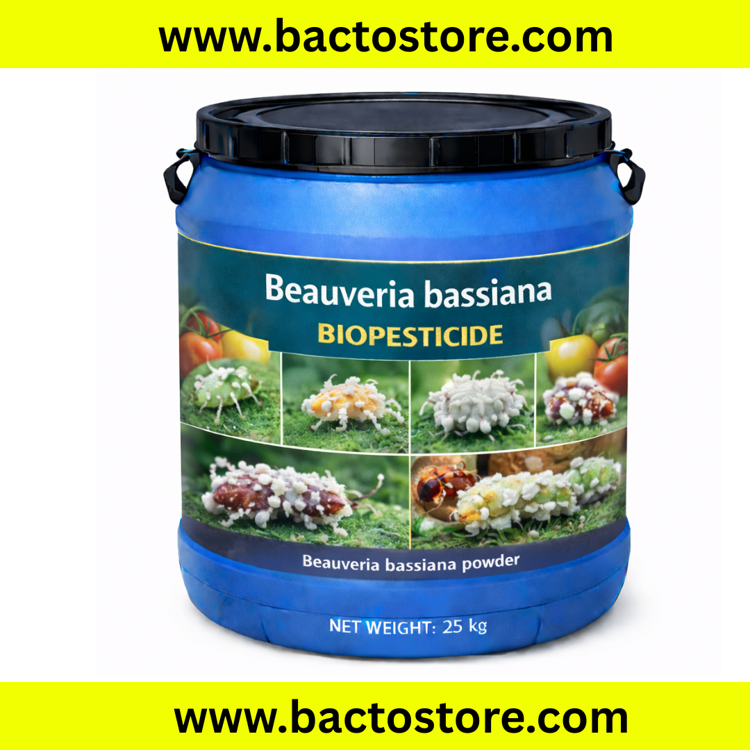 Beauveria Bassiana